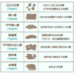 幸福度を上げるなら腸を整えよう